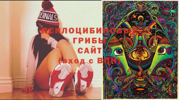 твердый Липки