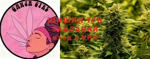 твердый Липки